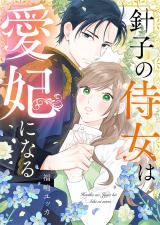 Hariko no Jijo wa Aihi ni Naru EN Cover Image